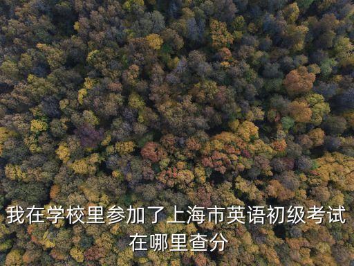 上海市初試成績，我在學校里參加了上海市英語初級考試 在哪里查分
