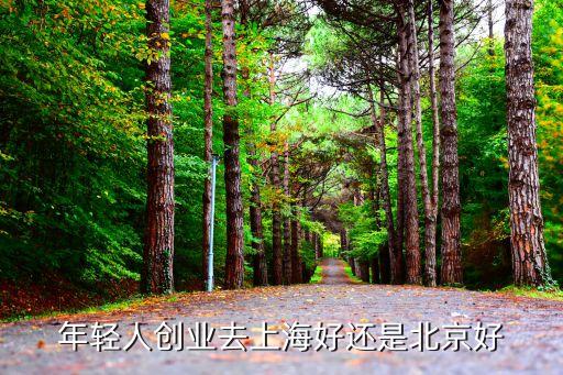 上海市與北京市投資環境對比，請比較一下北京和上海這兩個城市創業和生活的優缺點