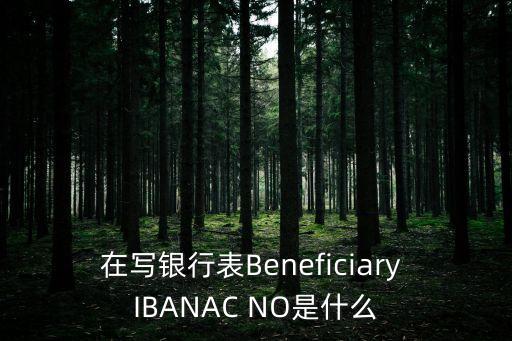 上海市招商銀行iban是什么，在寫銀行表Beneficiary IBANAC NO是什么