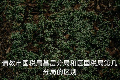 上海市各區(qū)稅務機關對比，上海都有哪些稅務局九亭歸哪個稅務局管