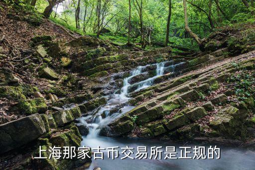 上海市最正規的古錢幣交易公司，上海那家古幣交易所是正規的