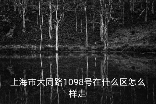 上海市大同路在哪個(gè)區(qū)，上海市大同路1098號在什么區(qū)怎么樣走