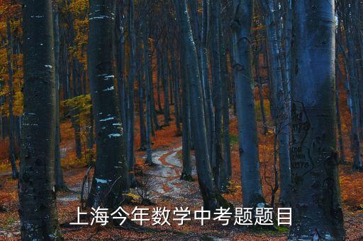 2019屆上海市數學中考試題，初三上海數學物理化學的 中考題 附加答案