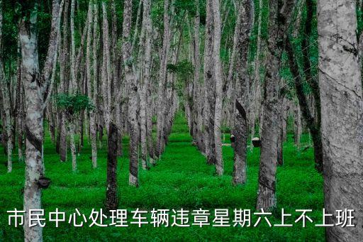 市民中心處理車輛違章星期六上不上班