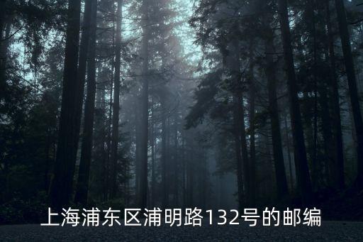 上海浦東區浦明路132號的郵編