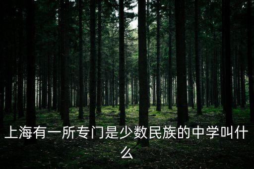 上海有一所專門是少數民族的中學叫什么