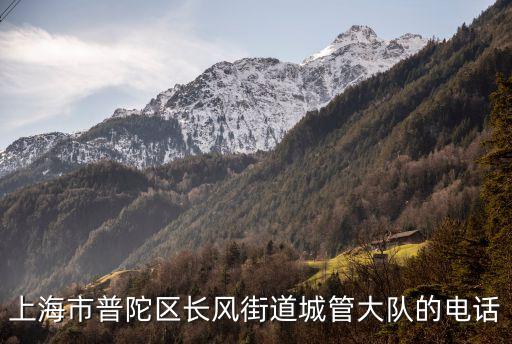 上海市普陀區長風街道城管大隊的電話