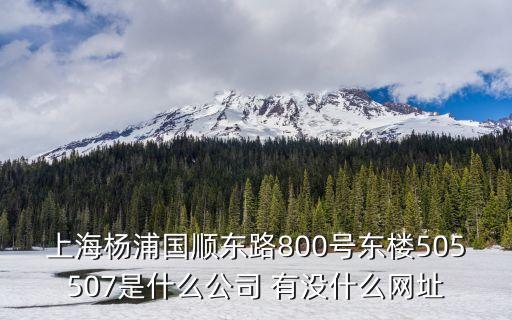 上海楊浦國順東路800號東樓505507是什么公司 有沒什么網址