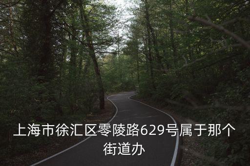 上海市徐匯區零陵路629號屬于那個街道辦