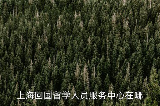 123上海市，上海回國留學人員服務中心在哪