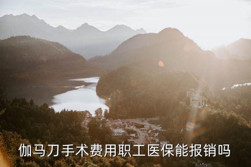 伽馬刀手術(shù)費(fèi)用職工醫(yī)保能報(bào)銷嗎