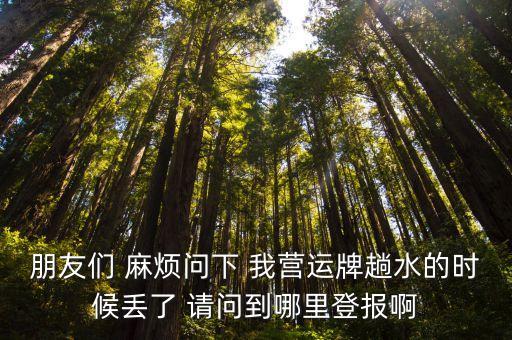 上海市營運證怎么登報，朋友們 麻煩問下 我營運牌趟水的時候丟了 請問到哪里登報啊