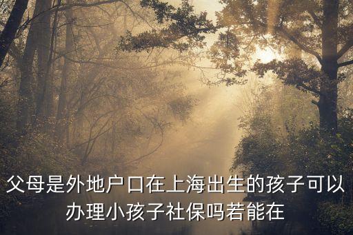 上海市新生兒社保怎么辦理 需要什么手續，父母是外地戶口在上海出生的孩子可以辦理小孩子社保嗎若能在