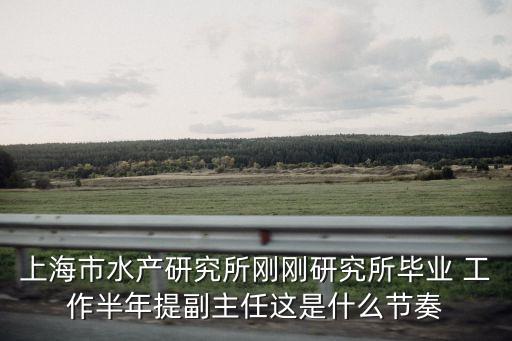 上海市水產研究所剛剛研究所畢業 工作半年提副主任這是什么節奏