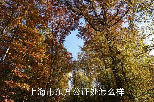 上海市東方公證處東南門(mén)怎么樣，上海市東方公證處地址