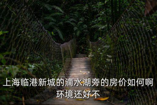 上海臨港新城的滴水湖旁的房價如何啊環(huán)境還好不