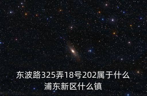 上海市浦東新區東波路325弄，東波路325弄18號202屬于什么浦東新區什么鎮