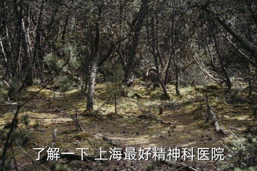 上海市第一精神病醫(yī)院官網(wǎng)，了解一下 上海最好精神科醫(yī)院