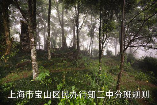 上海市行知二中實驗學校，上海市寶山區民辦行知二中分班規則