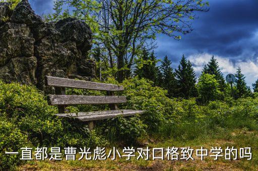 一直都是曹光彪小學對口格致中學的嗎