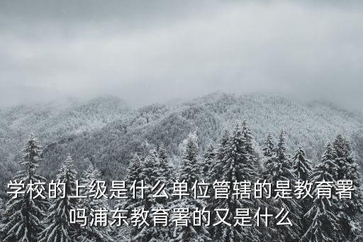 學校的上級是什么單位管轄的是教育署嗎浦東教育署的又是什么