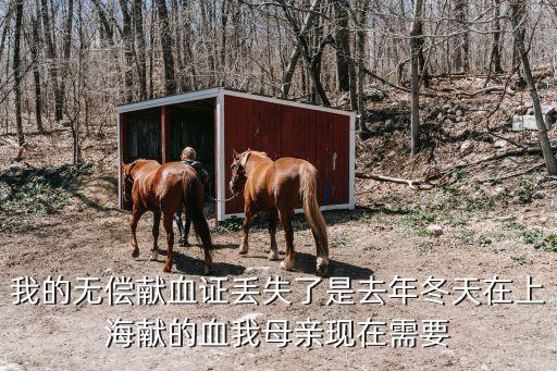 我的無償獻血證丟失了是去年冬天在上海獻的血我母親現在需要