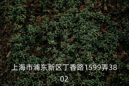 上海市民排隊(duì)接水，上海市浦東新區(qū)丁香路1599弄3802