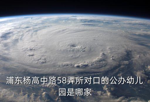 上海市浦東新區(qū)蒲公英幼兒園園長，浦東楊高中路58弄所對口的公辦幼兒園是哪家