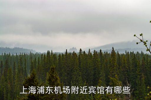 上海市浦東機(jī)場(chǎng)附近旅店，上海浦東機(jī)場(chǎng)附近賓館有哪些