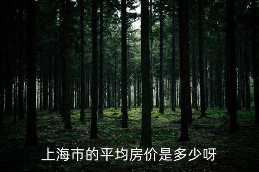 上海市平均房價多少現在，上海市的平均房價是多少呀