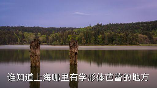 上海市形體舞蹈班，誰知道上海哪里有學(xué)形體芭蕾的地方
