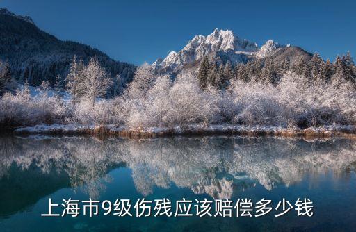 上海市工傷9級傷殘賠償標準2015，上海市9級傷殘應該賠償多少錢