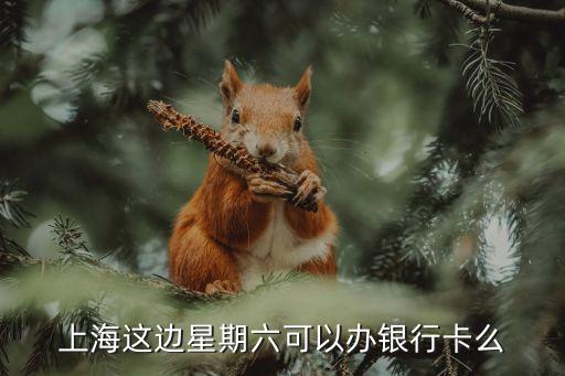 上海市區周末晚上哪里可以辦銀行卡，上海這邊星期六可以辦銀行卡么