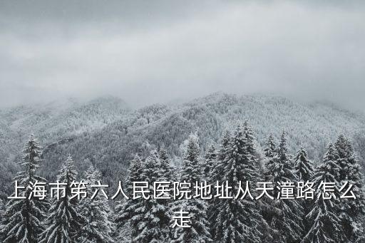 上海市第六九人民醫院，上海市笫六人民醫院地址從天潼路怎么走
