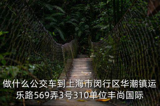 上海市閔行310，做什么公交車到上海市閔行區華潮鎮運樂路569弄3號310單位豐尚國際