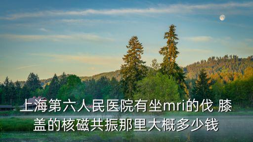 上海市六院有nt，上海第六人民醫院有坐mri的伐 膝蓋的核磁共振那里大概多少錢