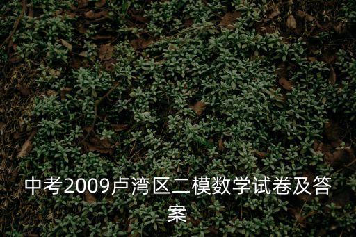 上海市中考2009年數(shù)學(xué)考卷，中考2009盧灣區(qū)二模數(shù)學(xué)試卷及答案