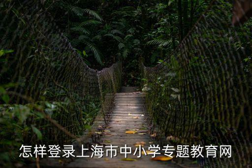 上海市中小學學生專題教育，怎樣登錄上海市中小學專題教育網
