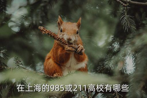 上海市的211和985大學名單，在上海的985或211高校有哪些