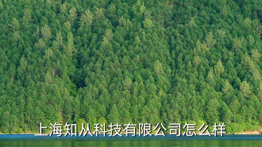 上海市社會主義學院陳榮武，上海知從科技有限公司怎么樣
