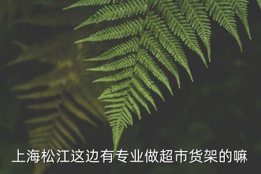 上海市松江區貨架公司廠家，上海松江這邊有專業做超市貨架的嘛