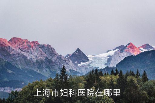 上海市正規婦科醫院在哪里，上海市婦科醫院在哪里