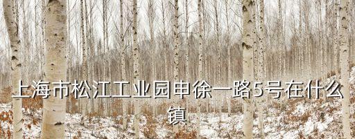 上海市松江工業園區屬于哪個鎮，上海市松江工業園申徐一路5號在什么鎮