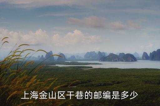 上海市干巷的郵政編碼是多少，上海金山區干巷的郵編是多少