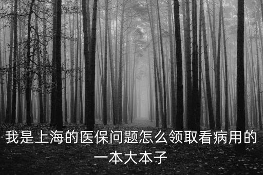上海市醫(yī)保冊子領(lǐng)取，我是上海的醫(yī)保問題怎么領(lǐng)取看病用的一本大本子