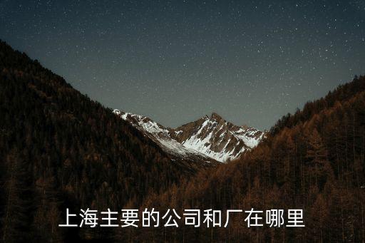 上海市公司的具體地址，上海主要的公司和廠在哪里