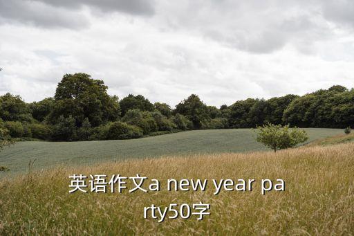 2019上海市徐匯區英語二模作文，英語作文a new year party50字