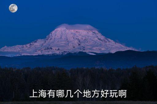 上海市哪個地方最好玩兒，上海有哪幾個地方好玩啊