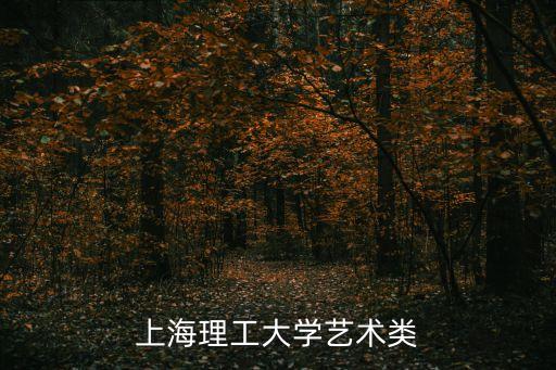 上海市理工大學(xué)藝考生，上海理工大學(xué)藝術(shù)類