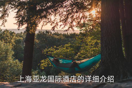 上海市亞龍大酒店，上海亞龍國際酒店的詳細介紹